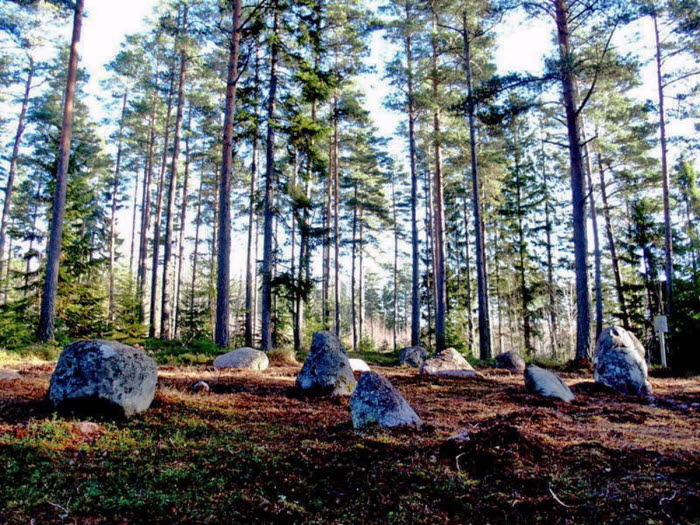 Domarringarna