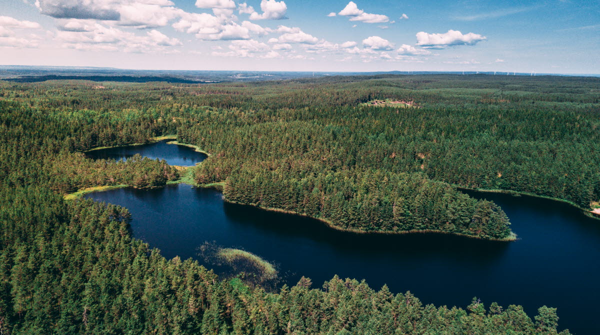 Flygbild på tät skog och en sjö
