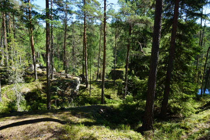 Mellannäsrundan