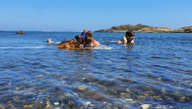 Snorkelled på Sydkoster