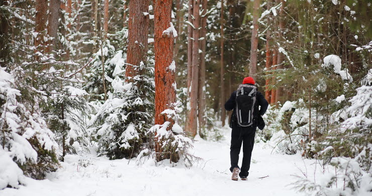 En man som promenerarar med ryggsäck på vintern i skogsmiljö.