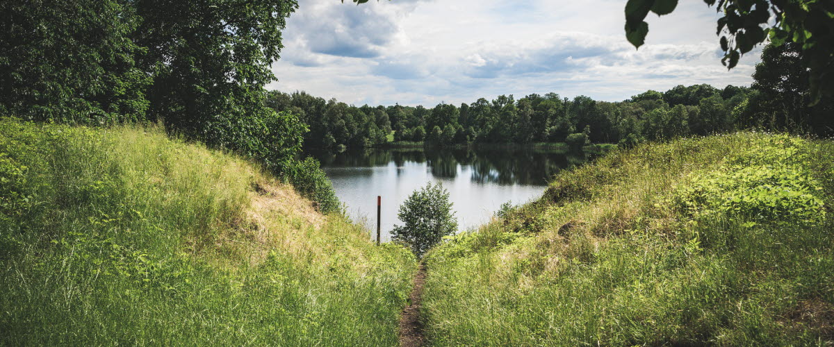 En stig som leder ner till en liten sjö i en skog