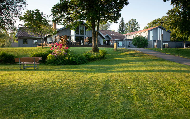 En gräsmatta med träd. Bakom träden finns ett hotell