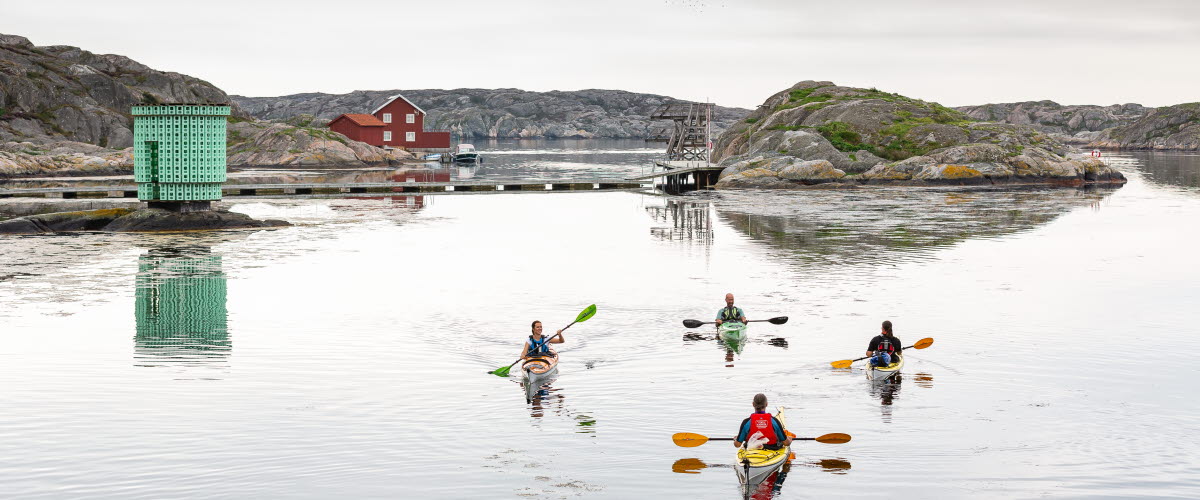 Kayak in Skärhamn