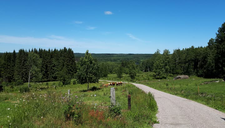 Cykla eller vandra Änglaleden i Ulricehamn. Leden är 37 km i samma områden som Änglagårds-filmerna är inspelade.