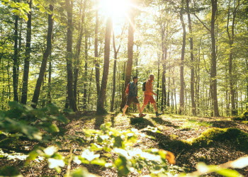 Vandring Hyssnaleden