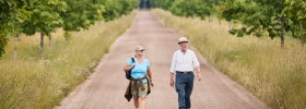 Hikers on gravel road by Almnäs Bruk.