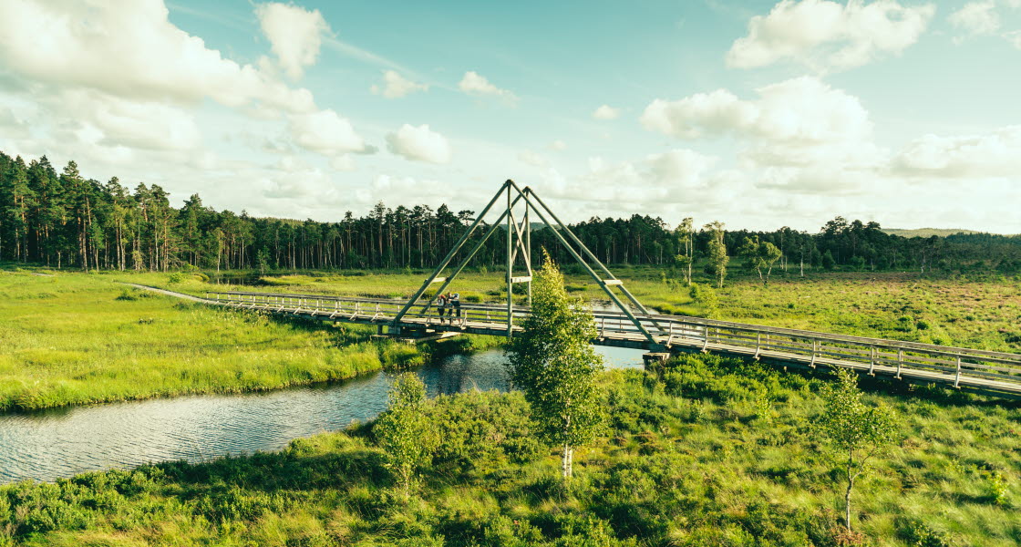 Family at Vänga Mosse