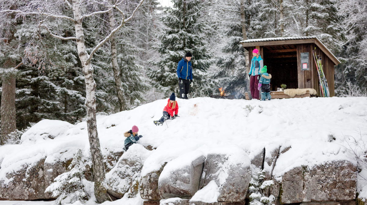 Familj som grillar i vinterlandskapet på Billingen.