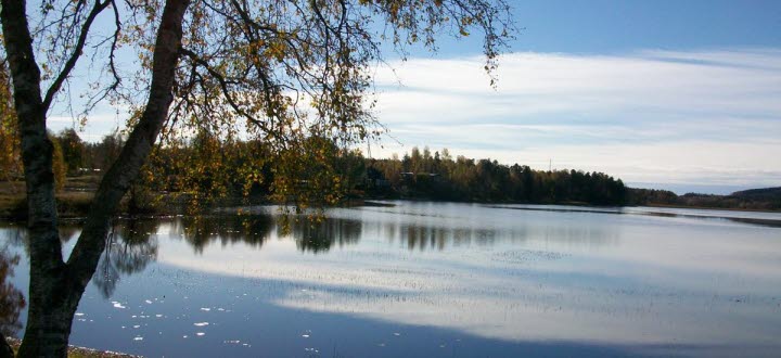 Tranemosjön