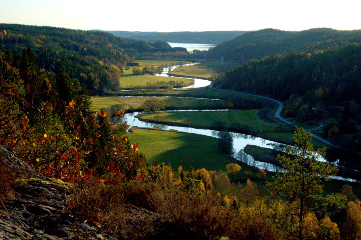 Övriga naturreservat