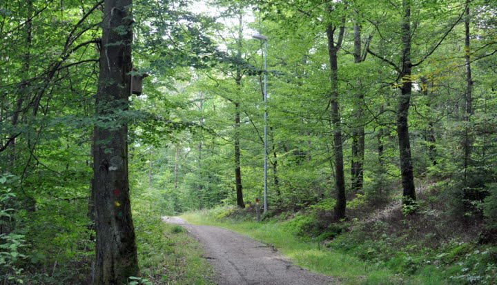 Ymergården vandringsleder