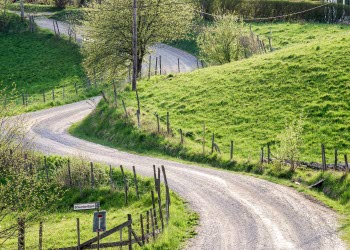 En bild på en slingrig grusväg genom ett grönt landskap med träd och staket.