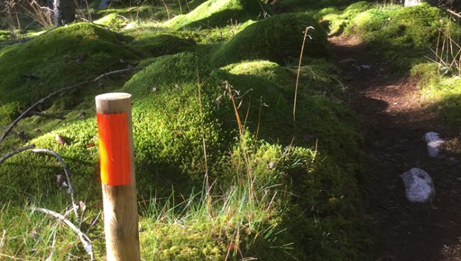 Trailbanan på Lassalyckan i Ulricehamn erbjuder härlig trail i naturlig miljö.