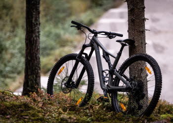 Cykel och Salt i Strömstad