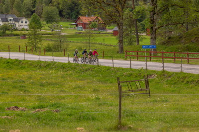 Siene, Vårgårda