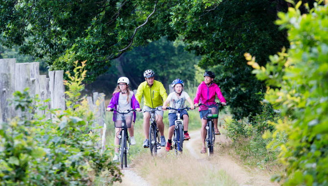Familj cyklar på en grusväg