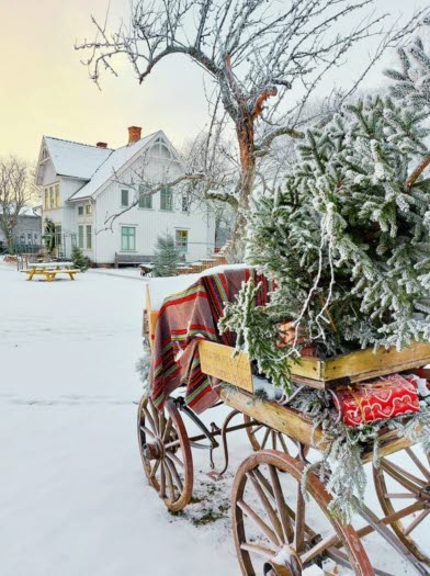 Julmarknad på Nolbygård