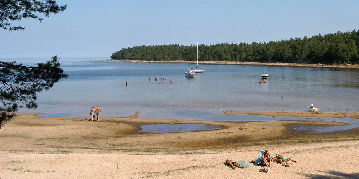 sk-rg-rds-arna-tors-bromm-och-djur