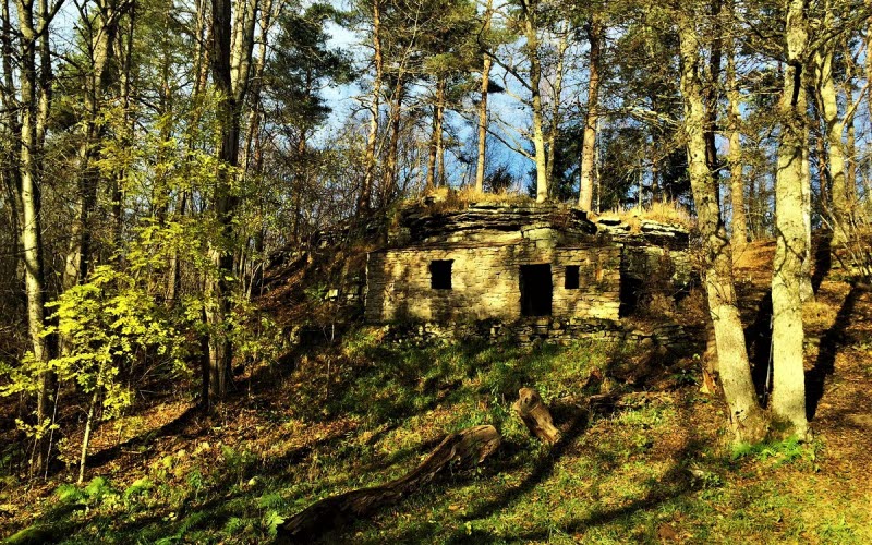 A cave out in the forest with two small openings as windows and a bigger as door. The sun is shining and the trees creates shadows on the ground.