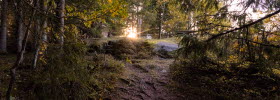 Natur, skog, solnedgång, tidaholm