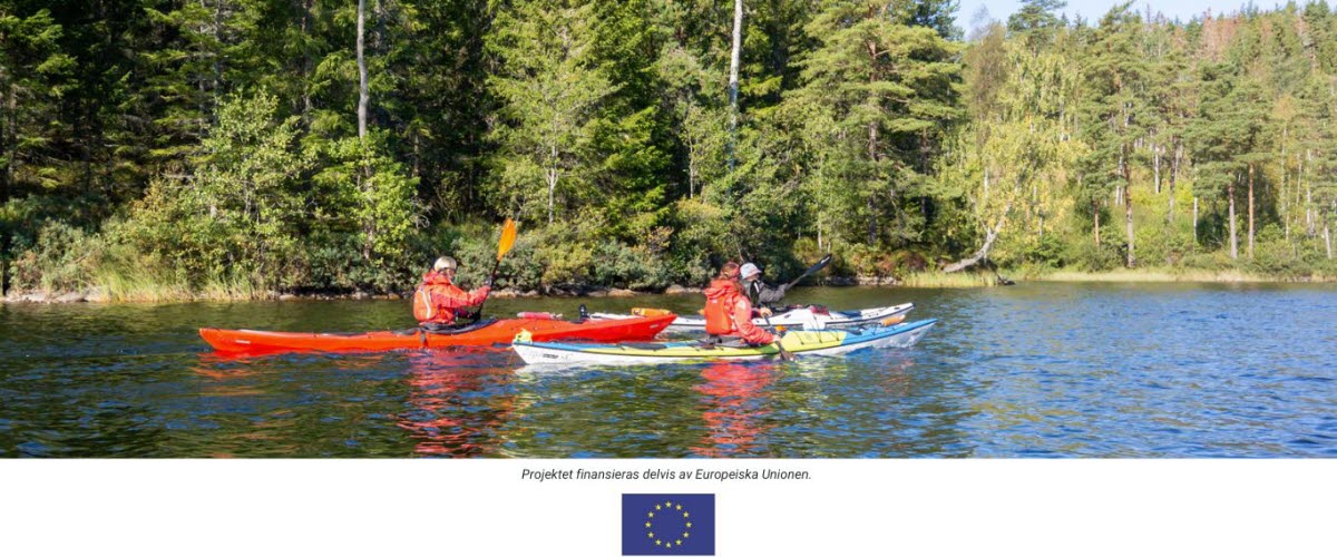 Two people kayaking on a lake with a forest around them. 