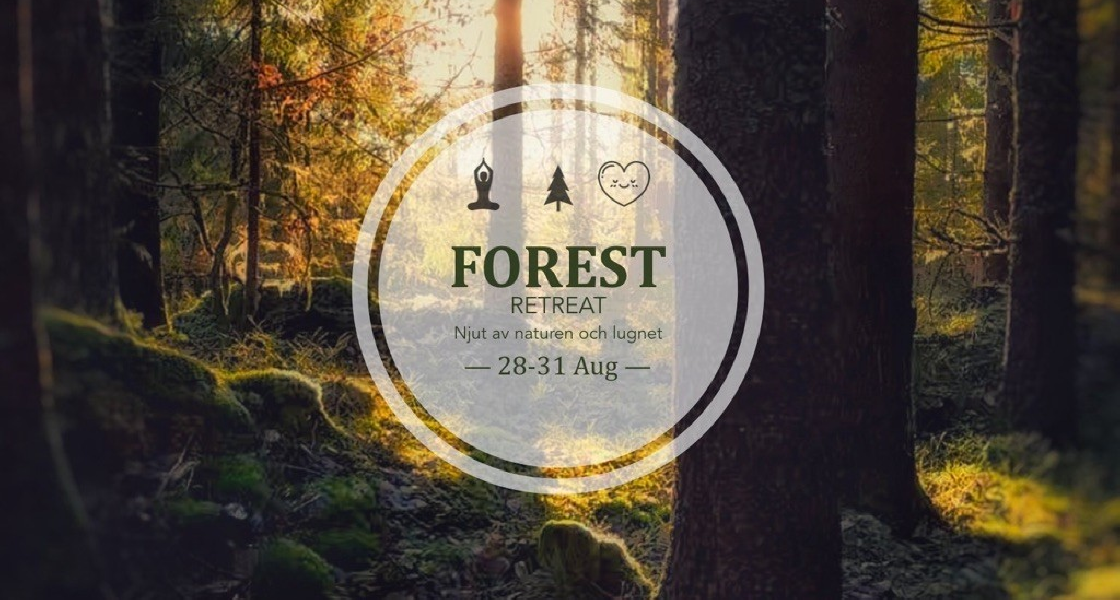 Forest retreat, en weekend på Ragnerud Vandringsdestination.