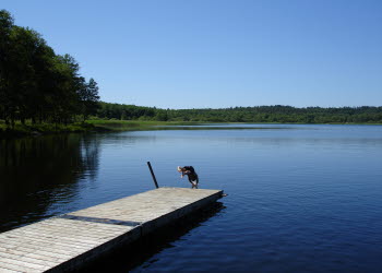 En bild på en blå sjö med en brygga där någon dyker ner i vattnet.