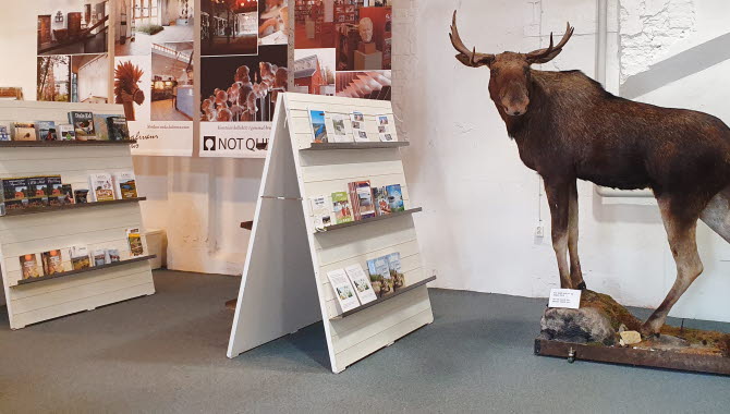 Uppstoppad älg på Dalslands center.