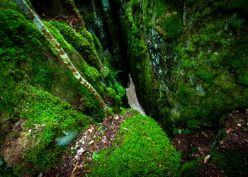 Ätterstupa på Halleberg