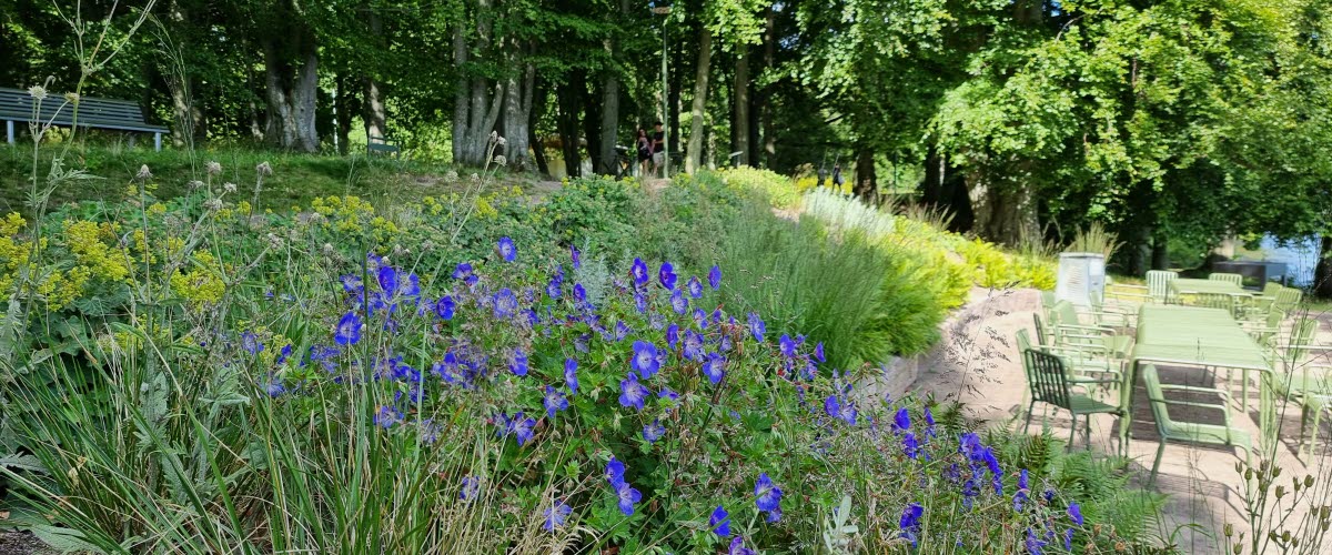 Blomsterrabatt