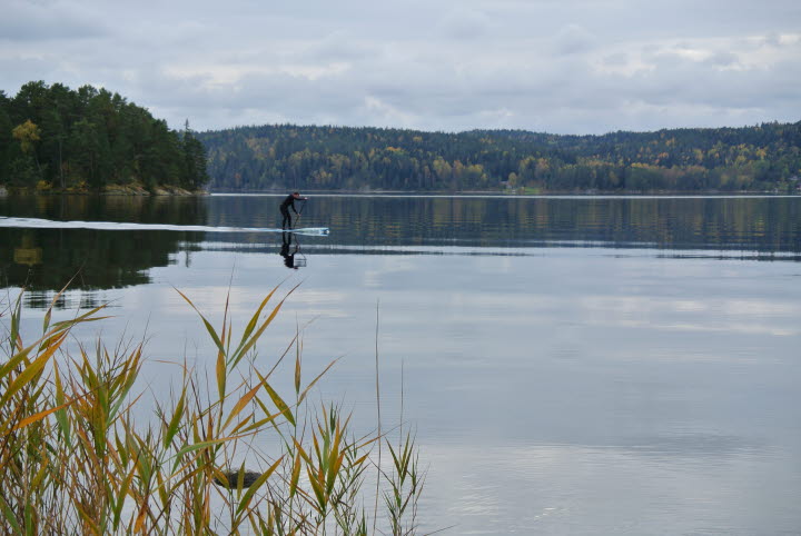 Råvarps FVO