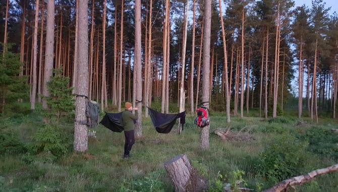 Pilgrimsleden Hjo-Kungslena