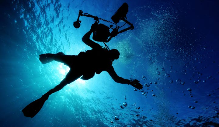 Dive Team