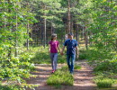 A man and a woman are walking hand in hand on a forest path.