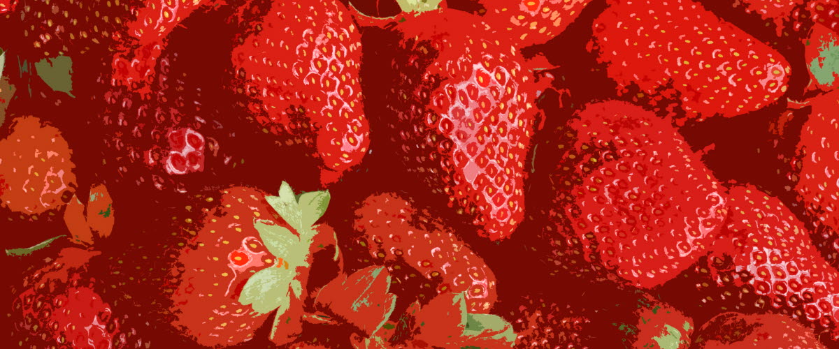 Illustrerade röda jordgubbar.