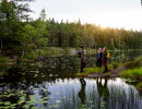 Walk in Tresticklan national park