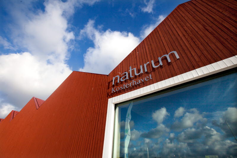 Naturum Koster 03 - Photo Cred Åsa Dahlgren.jpg