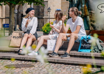 Fira Nationaldagsvecka i Skara