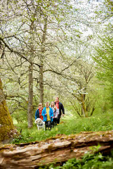 Bockaskedeåsen