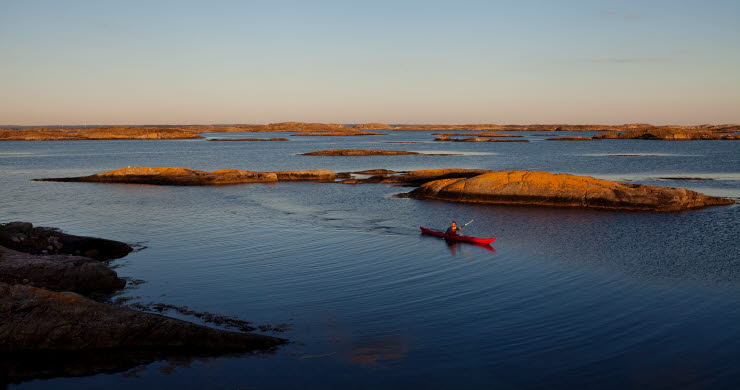 A red kayak is paddeling next to an island at dusk. 