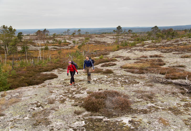 Bohusleden
