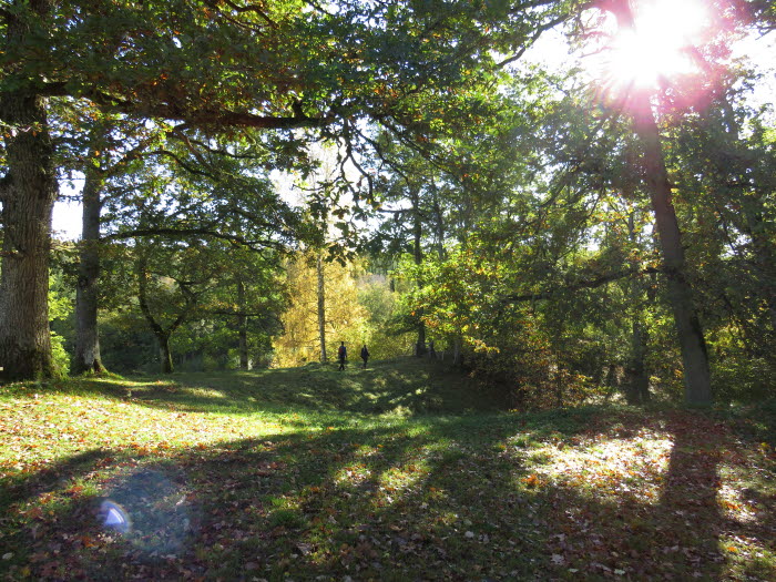 Baktrågens naturreservat