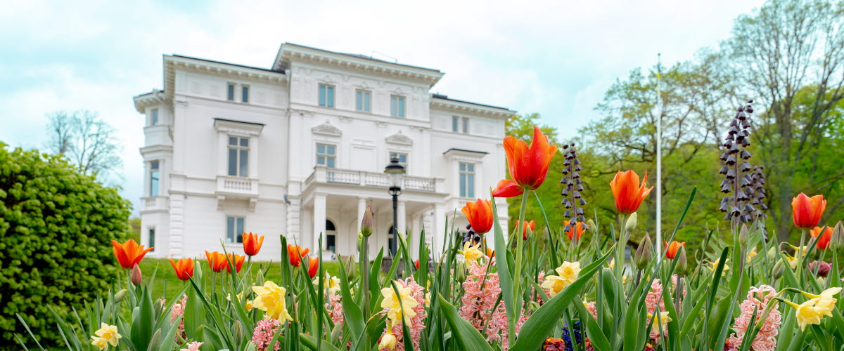 Färgglada blommor i förgrunden och Nolhaga slott i bakgrunden. 