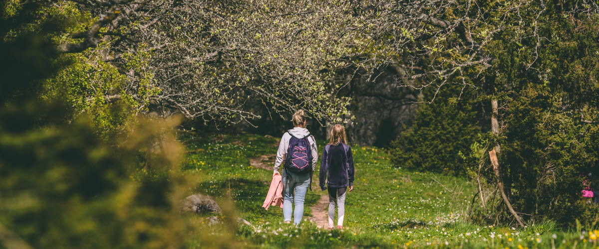 Two people are walking on a trail surrounded by budding trees and spring flowers.