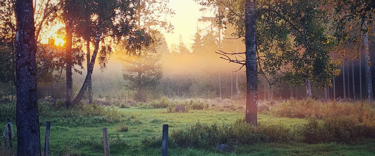 Naturen i Hallebo