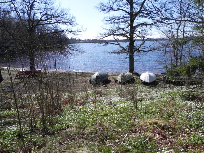 Örsjöns Fiskevårdsområde