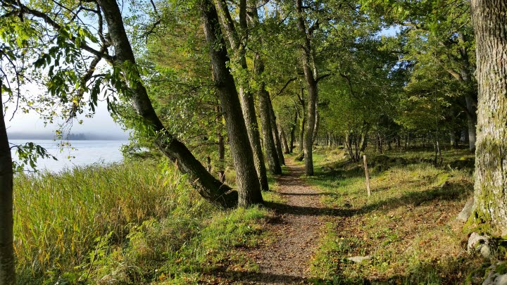 Hofsnäs naturstigar