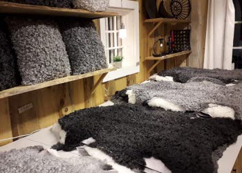 En bild på fårskinn som ligger uppradade på ett bord. På väggen hänger en hylla där kuddar i ull står.