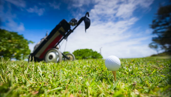 A green golf course with a golf bag and close up of a golf ball.